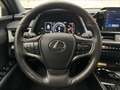 Lexus Sonstige UX 250h Style Edition Aut. Grau - thumbnail 9