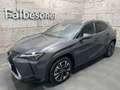 Lexus Sonstige UX 250h Style Edition Aut. Grau - thumbnail 1