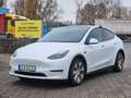 Tesla Model Y Long Range Dual AWD Weiß - thumbnail 1