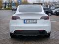 Tesla Model Y Long Range Dual AWD Weiß - thumbnail 6