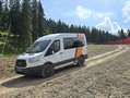 Ford Transit 4x4 2.3L anno 2015 9 posti Bianco - thumbnail 2