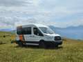 Ford Transit 4x4 2.3L anno 2015 9 posti Bianco - thumbnail 7
