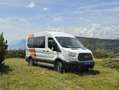 Ford Transit 4x4 2.3L anno 2015 9 posti Bianco - thumbnail 1