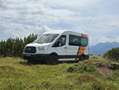 Ford Transit 4x4 2.3L anno 2015 9 posti Bianco - thumbnail 5