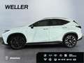 Lexus NX 350h E-FOUR F SPORT *LED*360°*Leder*HUD*Navi*Allwetter* Blanc - thumbnail 5