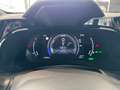 Lexus NX 350h E-FOUR F SPORT *LED*360°*Leder*HUD*Navi*Allwetter* Blanc - thumbnail 15