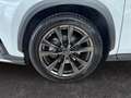 Lexus NX 350h E-FOUR F SPORT *LED*360°*Leder*HUD*Navi*Allwetter* Blanc - thumbnail 22