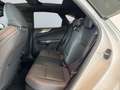 Lexus NX 350h E-FOUR F SPORT *LED*360°*Leder*HUD*Navi*Allwetter* Blanc - thumbnail 17