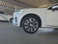 Volvo XC60 XC60 T6 AWD Recharge Geartronic Inscription Weiß - thumbnail 27