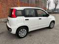 Fiat Panda 1.2 EasyPower Easy Bianco - thumbnail 5