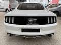 Ford Mustang 2,3 EcoBoost Weiß - thumbnail 4