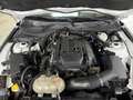 Ford Mustang 2,3 EcoBoost Weiß - thumbnail 14