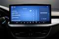 Ford Focus Focus 1.5 EcoBlue 115 CV automatico SW Active  De Grau - thumbnail 22
