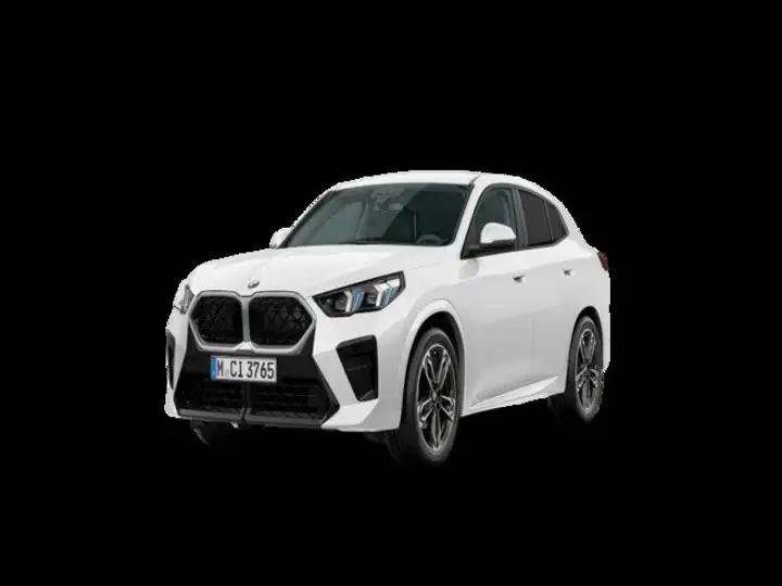 BMW X2 sDrive20d (U10) 2025