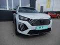 Peugeot 2008 Hybrid 145 e-DCS6 Allure Weiß - thumbnail 3