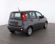 Fiat Panda Panda 1.0 firefly hybrid Gris - thumbnail 5