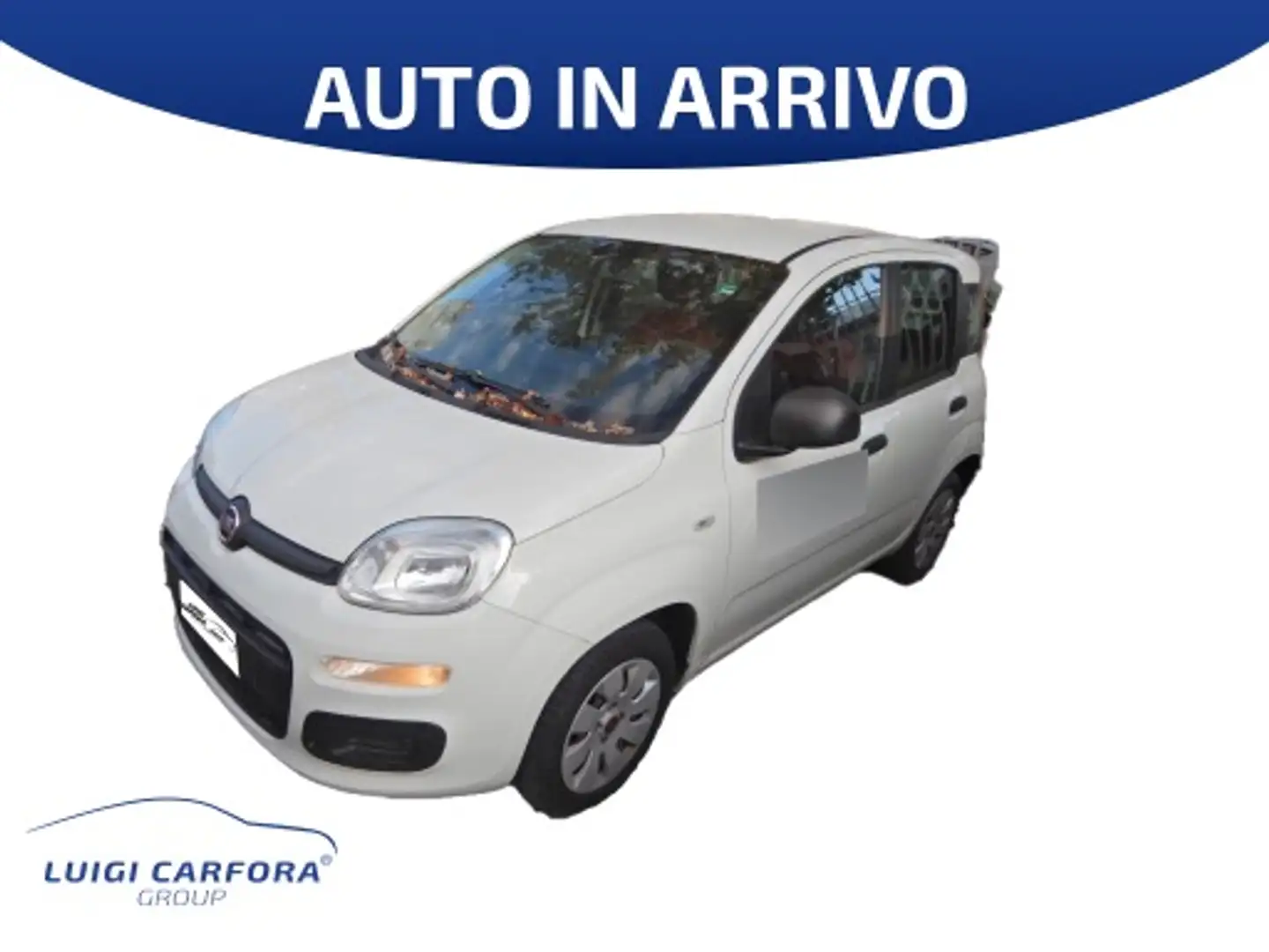 Fiat Panda 1.2 Pop Blanco - 1