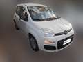 Fiat Panda 1.2 Pop Blanco - thumbnail 2