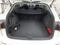Volkswagen Golf Variant Goal 1.5 TSI AHK+ACC+Navi+LM+SHZ Weiß - thumbnail 6