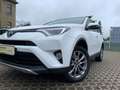 Toyota RAV 4 2.0 D-4D 4x2 EDITION PDC+KAMERA+SHZ+NAVI Weiß - thumbnail 24