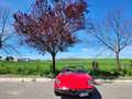 Alfa Romeo Spider 2.0 Veloce 128cv Czerwony - thumbnail 14