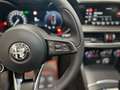 Alfa Romeo Stelvio 2.2 t Ti Q4 210cv auto Portellone hands free | LED Сірий - thumbnail 33