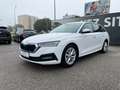 Skoda Octavia Combi 2,0 TDI Ambition DSG Blanc - thumbnail 7