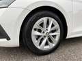 Skoda Octavia Combi 2,0 TDI Ambition DSG Blanc - thumbnail 35