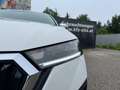 Skoda Octavia Combi 2,0 TDI Ambition DSG Blanc - thumbnail 34