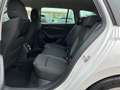 Skoda Octavia Combi 2,0 TDI Ambition DSG Blanc - thumbnail 14