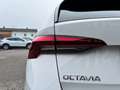 Skoda Octavia Combi 2,0 TDI Ambition DSG Blanc - thumbnail 36