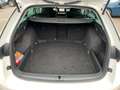 Skoda Octavia Combi 2,0 TDI Ambition DSG Blanc - thumbnail 15