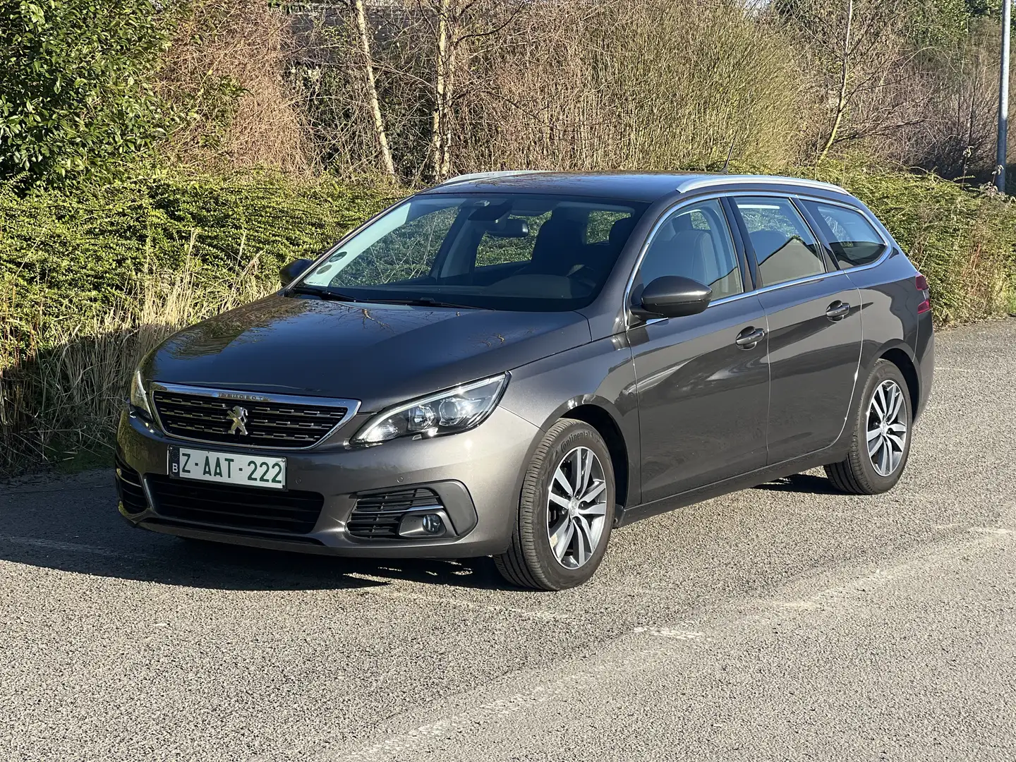 Peugeot 308 peugeot 308 break 2019 1.6 diesel Grigio - 1