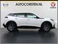 Peugeot e-2008 EV Active Pack 50kWh Navi Ecc Apple Carplay Androi Weiß - thumbnail 4