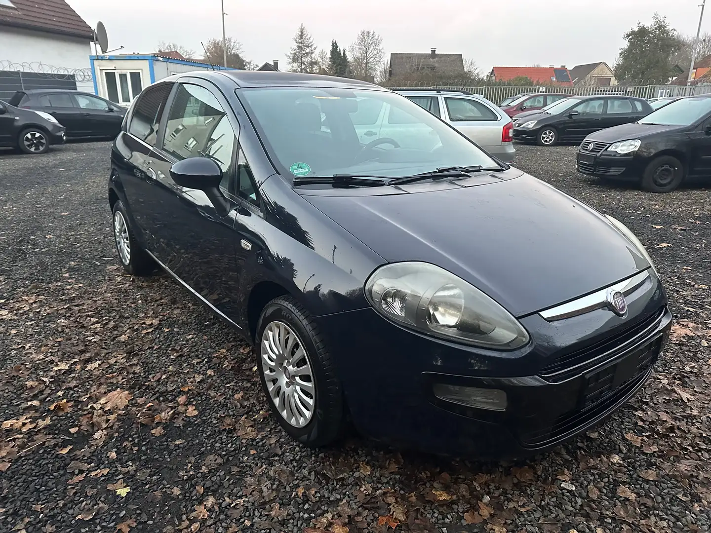 Fiat Punto MyLife Blau - 1