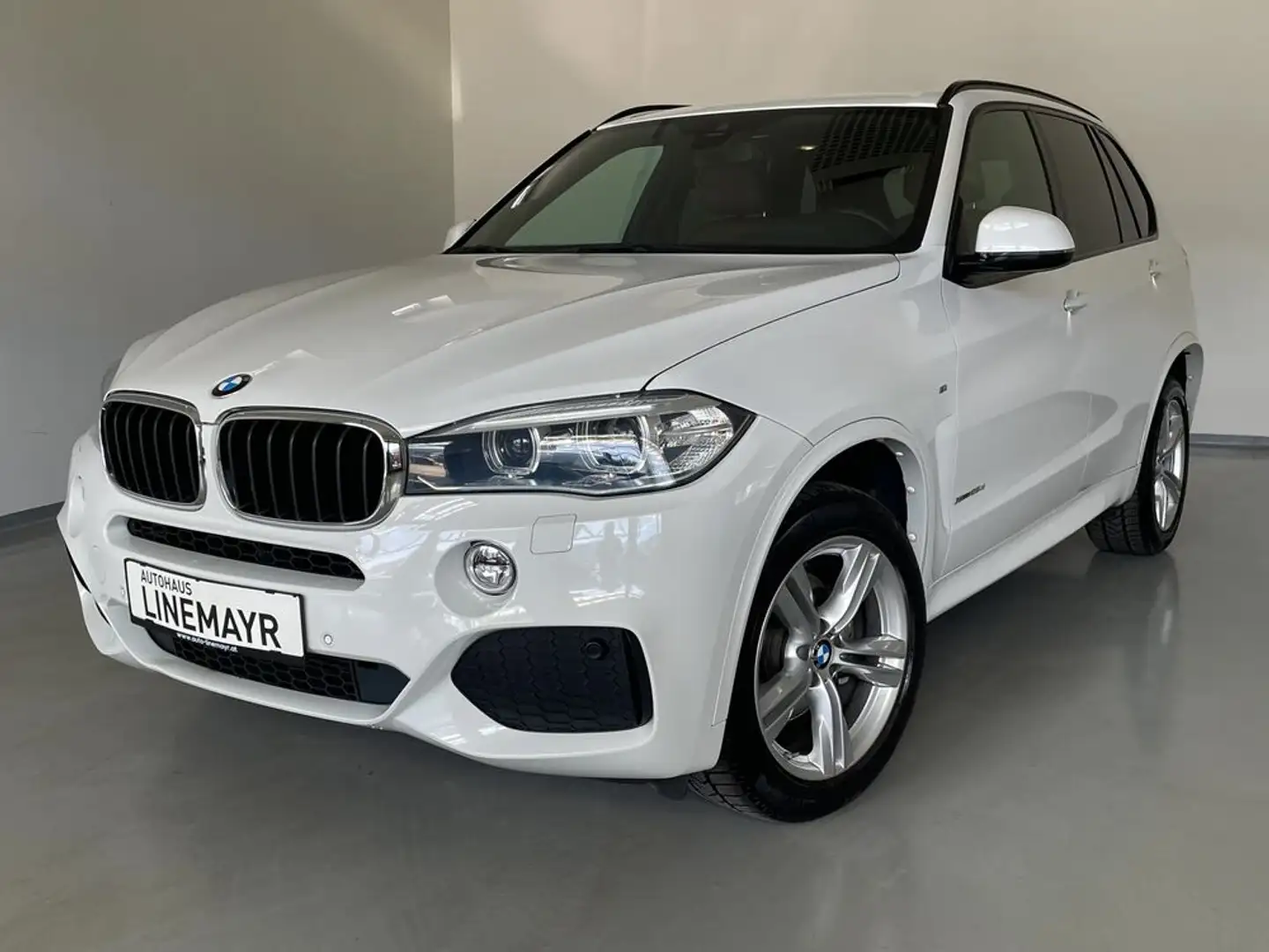 BMW X5 xDrive   Aut.  M-Paket, Leder, Navi, LED Weiß - 1