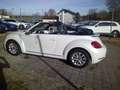 Volkswagen Beetle Cabriolet Design 1.2 TSI*Leder*Navi*PDC*SHZ*Winds Bianco - thumbnail 7