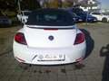 Volkswagen Beetle Cabriolet Design 1.2 TSI*Leder*Navi*PDC*SHZ*Winds Bianco - thumbnail 6