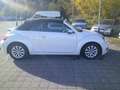 Volkswagen Beetle Cabriolet Design 1.2 TSI*Leder*Navi*PDC*SHZ*Winds Bianco - thumbnail 5
