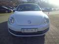 Volkswagen Beetle Cabriolet Design 1.2 TSI*Leder*Navi*PDC*SHZ*Winds Bianco - thumbnail 3
