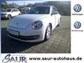 Volkswagen Beetle Cabriolet Design 1.2 TSI*Leder*Navi*PDC*SHZ*Winds Bianco - thumbnail 1