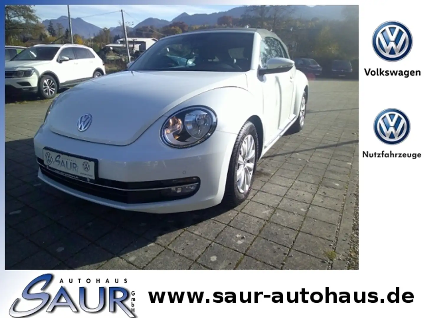 Volkswagen Beetle Cabriolet Design 1.2 TSI*Leder*Navi*PDC*SHZ*Winds Weiß - 1