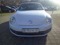 Volkswagen Beetle Cabriolet Design 1.2 TSI*Leder*Navi*PDC*SHZ*Winds Bianco - thumbnail 4