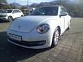 Volkswagen Beetle Cabriolet Design 1.2 TSI*Leder*Navi*PDC*SHZ*Winds Bianco - thumbnail 2