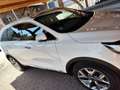Kia Sorento 2.2 CRDi AWD Aut. Vision Weiß - thumbnail 4