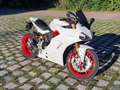 Ducati SuperSport S Star White/SCProject/ viel Zubehör Fehér - thumbnail 2