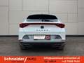 CUPRA Formentor 1,5 TSI Cupra DSG Weiß - thumbnail 5