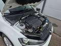 Volkswagen Golf Variant Comfortline BMT/Start-Stopp Weiß - thumbnail 21