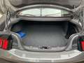 Ford Mustang Fastback 5.0 V8 Dark Horse Grau - thumbnail 12