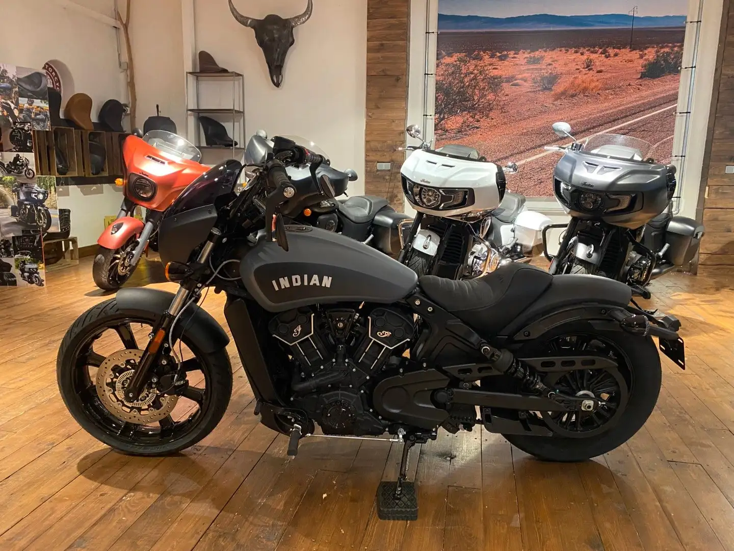Indian Scout Rogue "Edition"+ Aktion EUR  1.000/3,99 % siva - 1